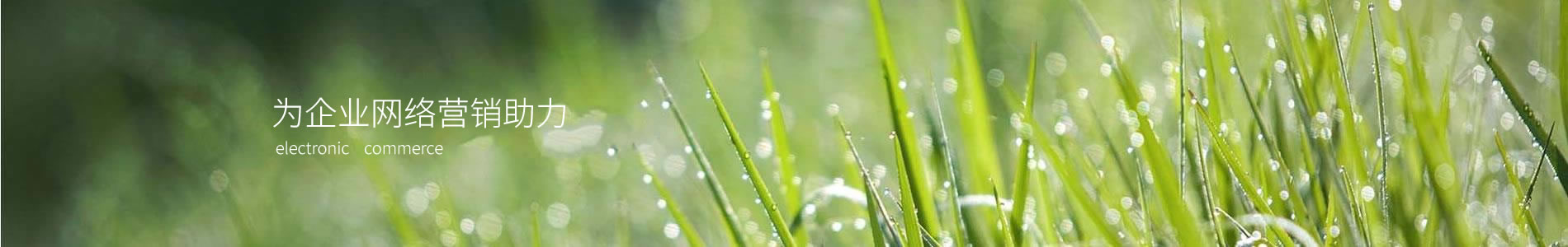 ڴƼգ޹˾